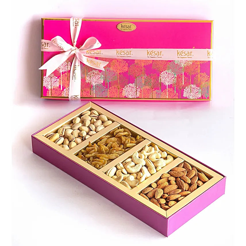 Bird Illustrated Dry Fruits Box By Kesar