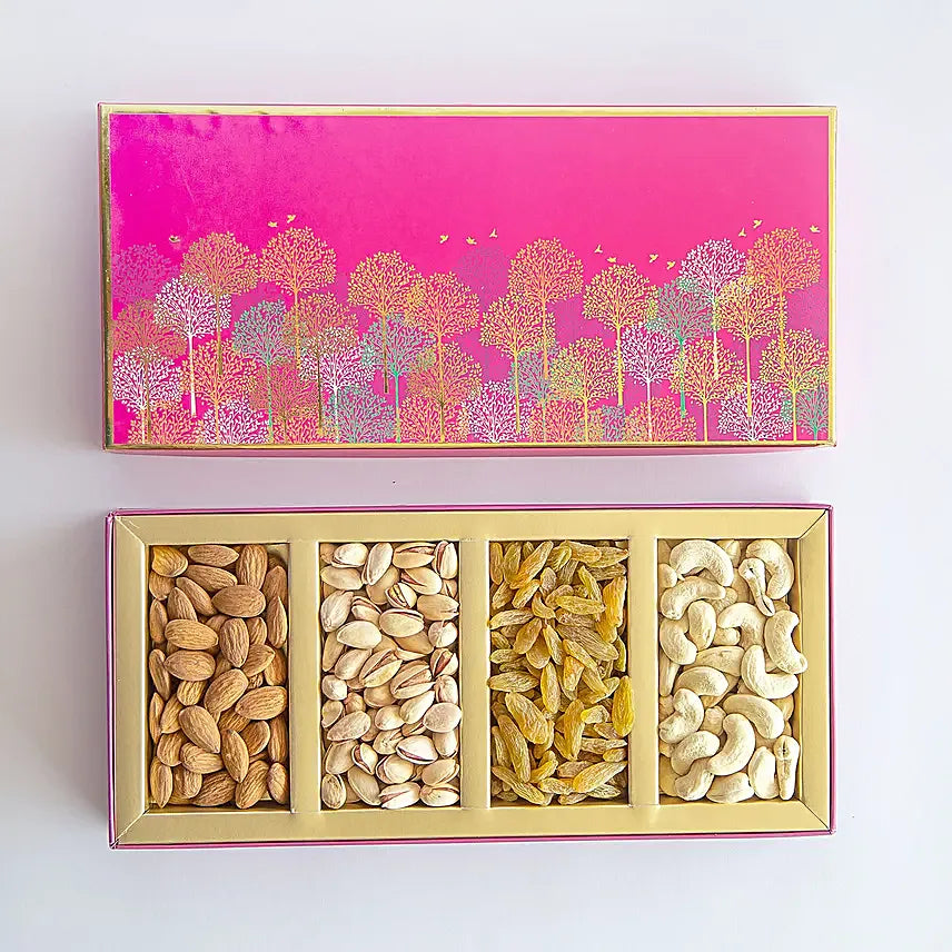 Bird Illustrated Dry Fruits Box By Kesar