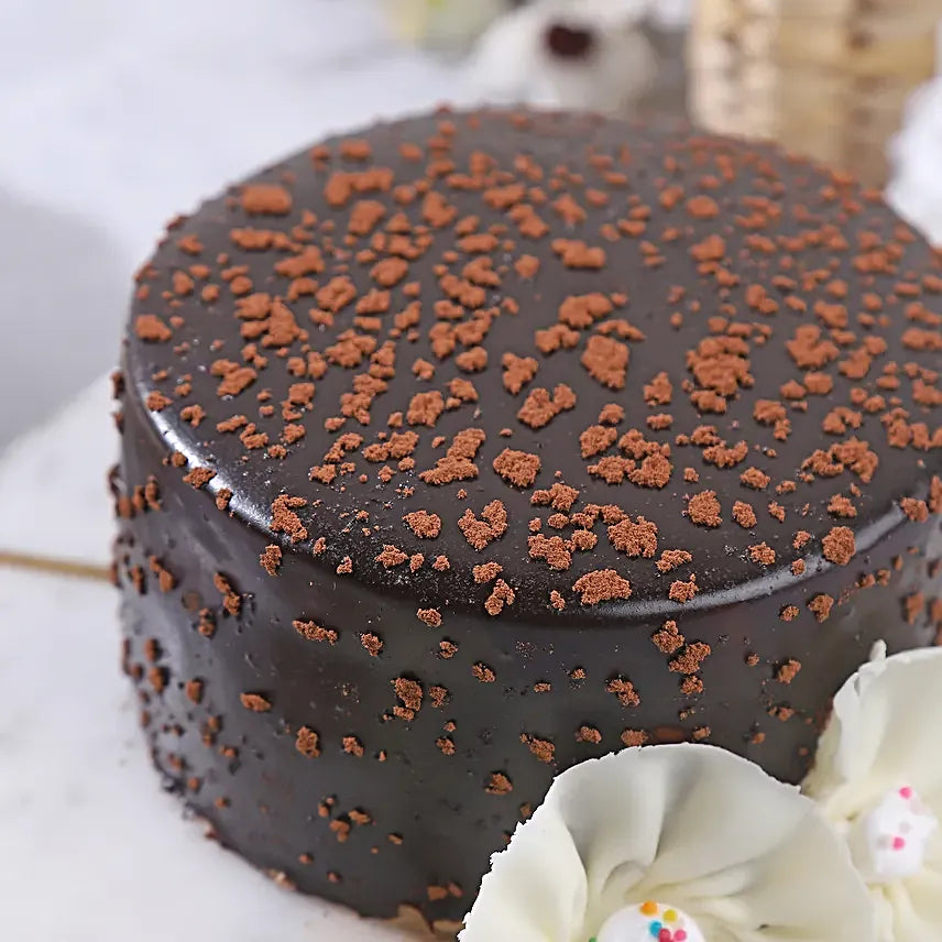 Joyful Bento Chocolate Temptation